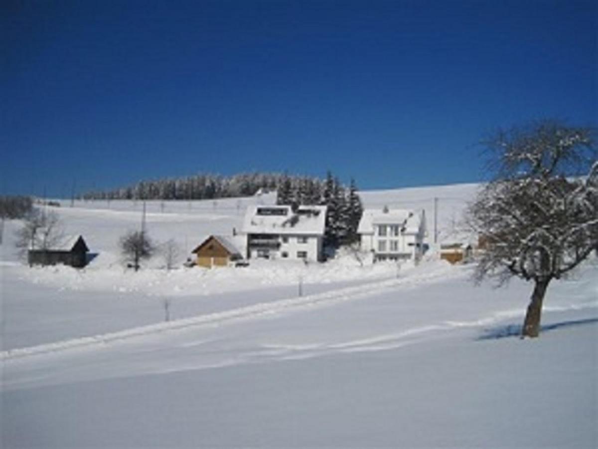 Haus Janssen-Wehrle Apartment Titisee-Neustadt Bagian luar foto