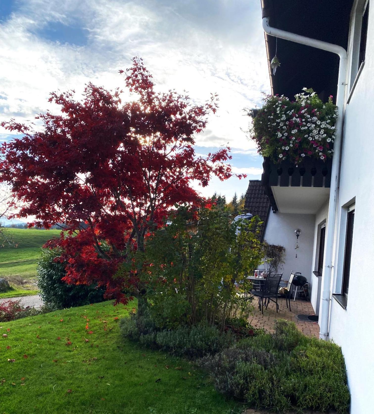 Haus Janssen-Wehrle Apartment Titisee-Neustadt Bagian luar foto